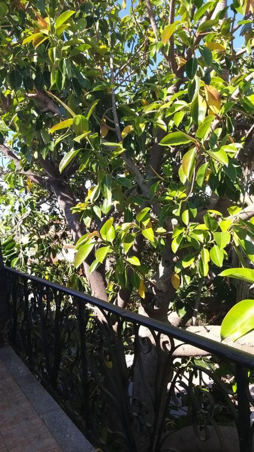 Appartamento La Palma Posada  Eksteriør billede