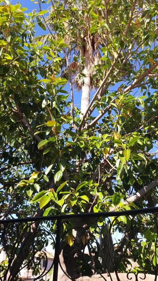 Appartamento La Palma Posada  Eksteriør billede